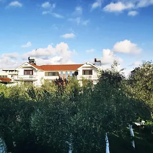 Kasa Apartman